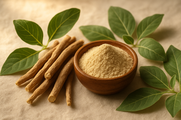 Ashwagandha: The Adaptogen That Earned Its Reputation